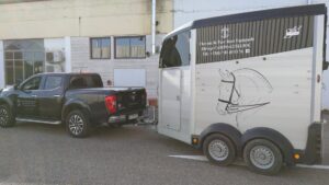 flocage vehicule chevaux