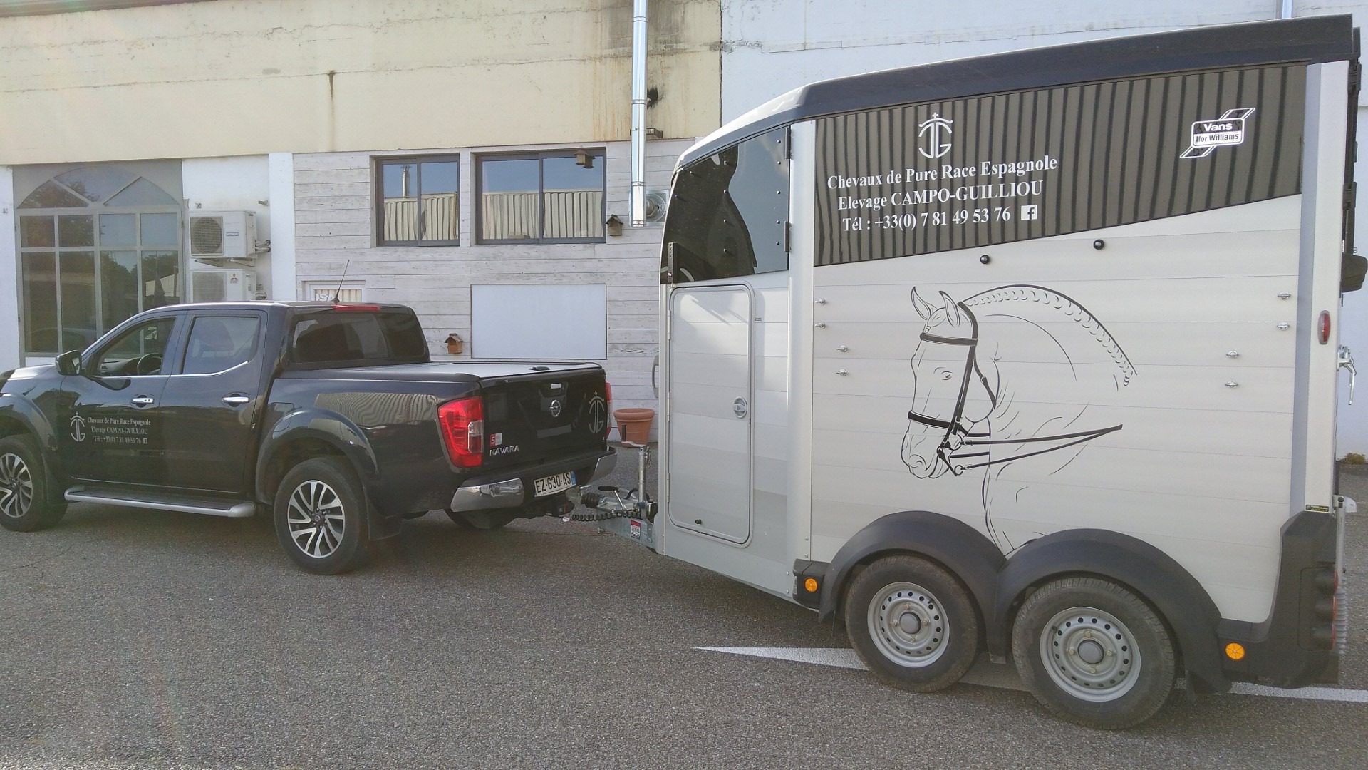 flocage vehicule chevaux