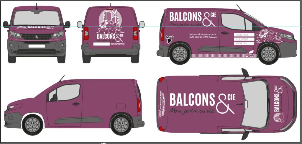 visuel graphique vehicule 3