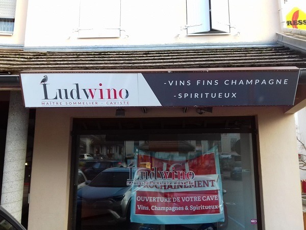 ludwino ludwino